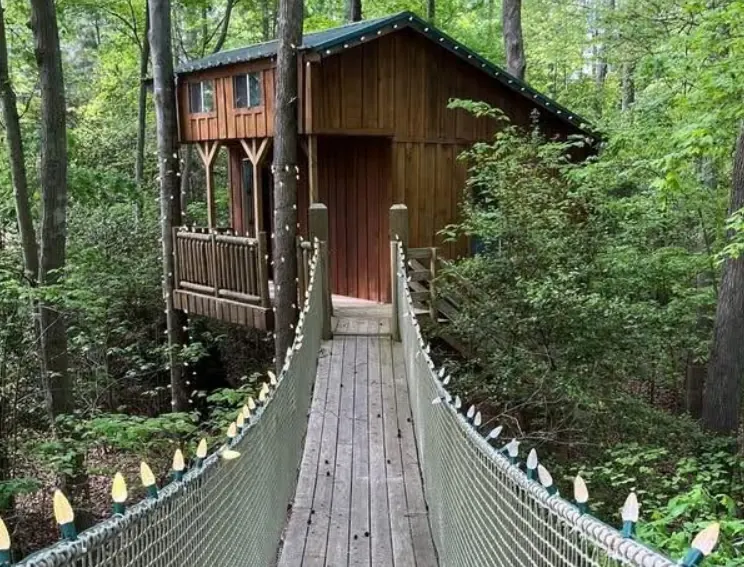 Tree house rope bridge walkway — TNT Construction, Maiden NC